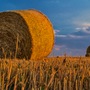 1,5% Podatku Rolnego